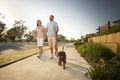 Property photo of 18 Caladenia Street Deebing Heights QLD 4306