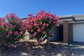 Property photo of 27 Tree Change Way Woodend VIC 3442