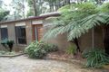 Property photo of 22 The Ridge Kinglake VIC 3763