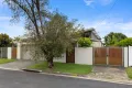 Property photo of 11 Grace Avenue Labrador QLD 4215