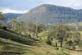 Property photo of 1202 Gradys Creek Road Loadstone NSW 2474