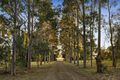 Property photo of 180 Wilderness Road Lovedale NSW 2325