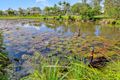 Property photo of 12 Steyning Court Arundel QLD 4214