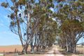 Property photo of LOT 101 Range Road Buchanan SA 5374