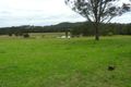 Property photo of 5511 The Bucketts Way Burrell Creek NSW 2429
