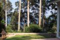 Property photo of 49 Northcove Road Long Beach NSW 2536