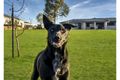 Property photo of 12 Sundew Crescent Kensington Grove QLD 4341