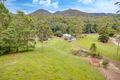 Property photo of 1127 Tallebudgera Creek Road Tallebudgera Valley QLD 4228