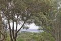 Property photo of 14 Rowena Road Narraweena NSW 2099