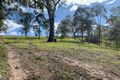 Property photo of 4 Wade Street Dungog NSW 2420