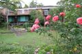 Property photo of 17 Lock Avenue Springfield NSW 2250