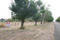 Property photo of 5 Ritchie Street Caramut VIC 3274