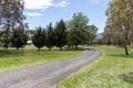 Property photo of 1061 Smiths Road The Angle NSW 2620