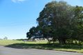 Property photo of 48 Hillyard Street Pialba QLD 4655