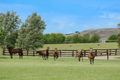Property photo of 2401 Putty Road Bulga NSW 2330