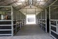 Property photo of 2401 Putty Road Bulga NSW 2330