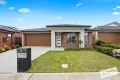 Property photo of 22 Pelagos Drive Clyde VIC 3978