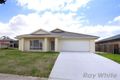 Property photo of 61 Raynbird Place Carseldine QLD 4034