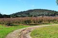 Property photo of 561 Crystal Creek Road Whanregarwen VIC 3714