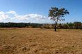 Property photo of 6 Don Lee Close Armstrong Creek QLD 4520