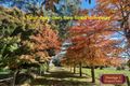 Property photo of 39 Summit Close Dorrigo NSW 2453