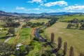 Property photo of 6750 Great Alpine Road Swifts Creek VIC 3896