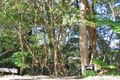 Property photo of 110 Cliff Drive Katoomba NSW 2780