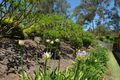 Property photo of 29 Sanson Place Mount Crosby QLD 4306