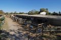 Property photo of 42A Desert Willow Way Fitzgibbon QLD 4018