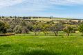 Property photo of 106 Robinson Street Gingin WA 6503