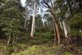 Property photo of 5 Echo Valley Road Liena TAS 7304