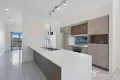 Property photo of 20 Laguna Crescent Springfield Lakes QLD 4300
