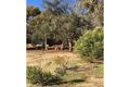 Property photo of LOT 777 Lefroy Street Narrogin WA 6312