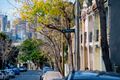 Property photo of 503/2H Wentworth Park Road Glebe NSW 2037
