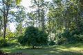 Property photo of 4888 Kyogle Road Wadeville NSW 2474