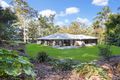 Property photo of 6 Bellbird Court Cedar Creek QLD 4520