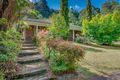 Property photo of 38 Blackwood Street Tecoma VIC 3160