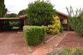 Property photo of 268 Bromley Road Robinvale VIC 3549