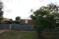 Property photo of 25 Amy Street West Croydon SA 5008