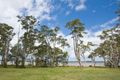 Property photo of 57 Lake Weyba Drive Weyba Downs QLD 4562