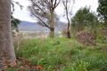 Property photo of 5062 Kiewa Valley Highway Running Creek VIC 3691