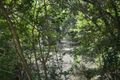 Property photo of 50 Mardi Road Mardi NSW 2259