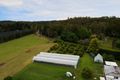 Property photo of 2904 Wisemans Ferry Road Mangrove Mountain NSW 2250