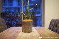 Property photo of 37/1 Sorrell Street Parramatta NSW 2150