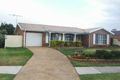 Property photo of 79 Welling Drive Narellan Vale NSW 2567