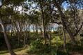 Property photo of 108 Dickson Way Point Lookout QLD 4183