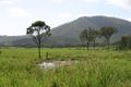 Property photo of 71 Thompson Point Road Nankin QLD 4701