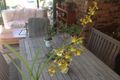 Property photo of 130 Plucks Road Arana Hills QLD 4054