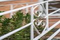 Property photo of 87 Hailes Street Greensborough VIC 3088
