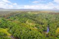 Property photo of 20 Crohamhurst Road Crohamhurst QLD 4519